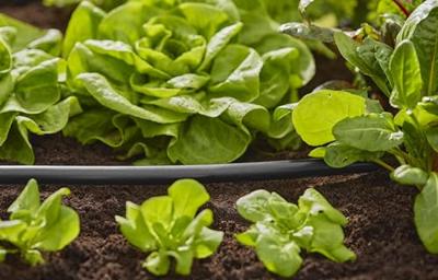 Gardena Flexibele Aanvoerbuis 1/2 Inch 15m - Vorstbestendig Tuinirrigatie Systeem - thumbnail