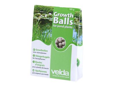 Groeibollen Velda - Velda