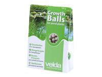 Groeibollen Velda - Velda - thumbnail