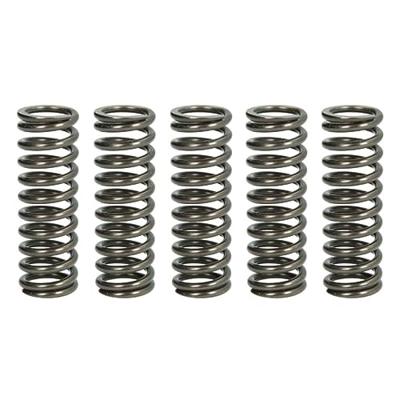 TRW koppelingsveren set clutch spring kit mef319-5