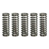 TRW koppelingsveren set clutch spring kit mef319-5 - thumbnail