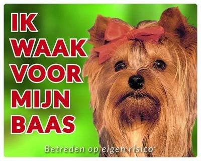 Yorkshire Terrier Waakbord - Ik waak voor mijn baas Yorkshire Terrier Waakbord - Ik waak voor mijn baas