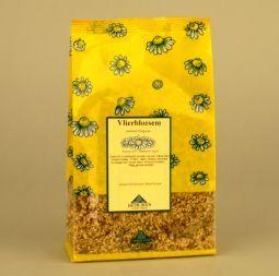 Jacob Hooy Vlierbloesem Gerist