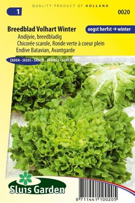 Andijvie zaden breedblad volhart winter