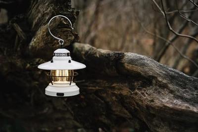 Barebones Mini Edison - 2Aa/Usb