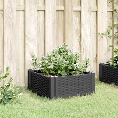 Plantenbak met pinnen 42,5x42,5x28,5 cm polypropeen zwart - thumbnail
