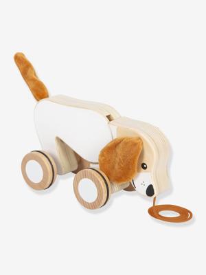 Essentiële houten benodigdheden / toebehoren meerkleurig