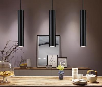 Paulmann URail Pendel Catalejo 230V-railsysteem lamp URail GU10 1000 W Zwart (mat)