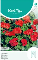 Zaden Pelargonium Geranium Mustang F1 rood Hortitops - Hortitops - thumbnail