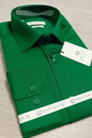 Buffon - Herenoverhemd - Groen - Harde Kraag - Katoen - thumbnail