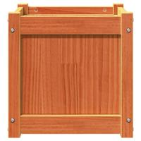 Plantenbakken 2 st cm massief grenenhout waxbruin - thumbnail