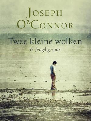 Twee kleine wolken en Jeugdig vuur - Joseph O'Connor - ebook