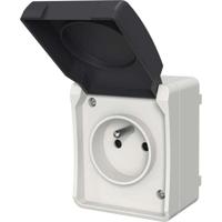 Gröna gödselmedel - BHS - Vit senap 500g | 100 m² | Förbättrar och desinficerar jordar för bättre fertilitet. - thumbnail