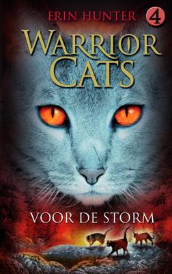 Voor de storm (Hardback)