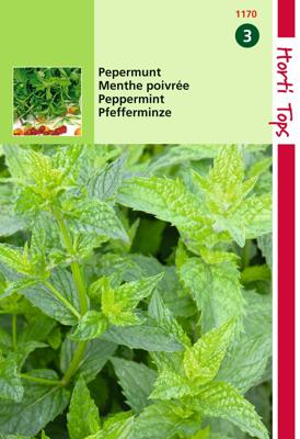 Zaden Pepermunt Hortitops - Hortitops Zaden Pepermunt Hortitops - Hortitops