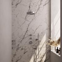 BRAUER Stripe Thermostatische Inbouw Regendouche - SET 02 - 25cm douchekop - gebogen muurarm - staaf handdouche - doucheslang - wandaansluitbocht - RVS-kleurig geborsteld PVD 5-NG-367 - thumbnail