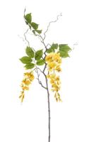 Wisteria branch yellow 145 cm kunstbloem Emerald - Emerald - thumbnail