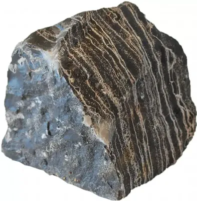 Aquarium steen leopard stone S Aquarium steen leopard stone S