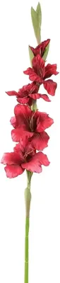 Pure Royal kunsttak gladiool 85cm bordeaux