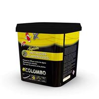 Algisin 5.000 Ml/50.000 Liter Nl F vijver Colombo - Colombo - thumbnail
