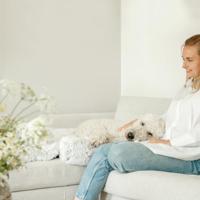 TRIXIE HONDENMAND HARVEY WIT / ROZE 50X50 CM - thumbnail