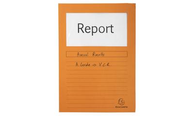 Set of Subfolders Exacompta Forever Oranje A4 Doorzichtig raam 100 Onderdelen