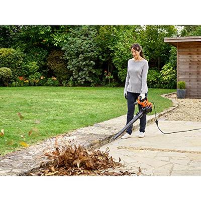 Black & Decker BEBLV301-QS bladblazer 3000 W
