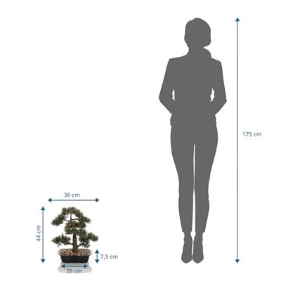 hjh OFFICE Kunstboom Bonsai 44 cm
