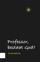 Professor, bestaat God? - Peter Barthel - ebook - thumbnail