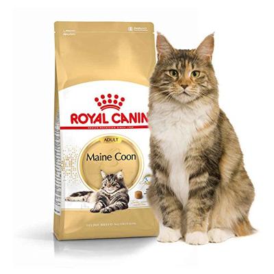 Royal Canin Adult Maine Coon kattenvoer 4 kg - thumbnail