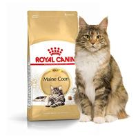 Royal Canin FBN Maine Coon Adult - droogvoer voor volwassen katten - 4kg - thumbnail