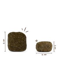 Bosch Medium Junior hondenvoer 2 x 15 kg - thumbnail