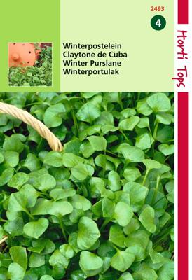 Zaden Winter Postelein Hortitops - Hortitops