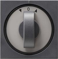 Gira bediening voor jaloezie draaischakelaar antraciet - thumbnail