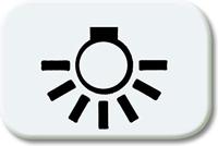 Busch-Jaeger 2525 LI-214 Symbool voor knop licht Afdekking Busch-balance SI Alpine-wit 1 stuk(s) - thumbnail
