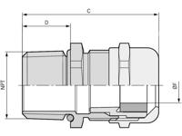 LAPP 53112024 Wartel 1/2 Messing Messing 50 stuk(s) - thumbnail