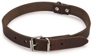Beeztees - Halsband Hond - Leer - Bruin - 43-52 cm x 20 mm