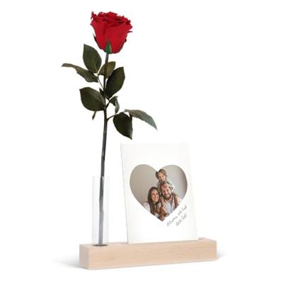 Infinity roos met foto standaard