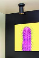 Lucide PUNCH - Plafondspot - 1xGU10 - Zwart - thumbnail