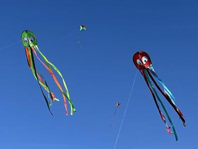 Günther Flugspiele Eenlijns Vlieger Octopus Spanwijdte 330 mm