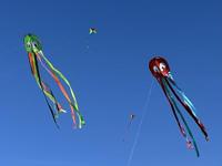 Günther Flugspiele Eenlijns Vlieger Octopus Spanwijdte 330 mm - thumbnail