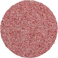 PFERD TOOLS CDR 25 A 60 FORTE 42771306 Schuurblad Korrelgrootte (num) 60 (Ø) 25 mm 100 stuk(s) - thumbnail