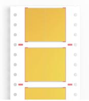 Weidmüller 1962030000 HSS-HF117,0-23,0/25Y Krimpkousmarkering Montagemethode: Schuiven Markeringsvlak: 42.20 x 24.40 mm Geel Aantal markeringen: 1500 1500 - thumbnail