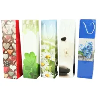 Geschenktas 36 cm 5 assorti | 25 stuks - thumbnail