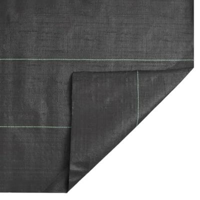 Worteldoek 1x150 m polypropeen zwart - thumbnail
