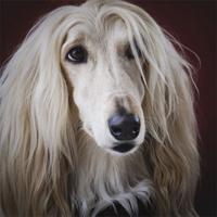 Wanddecoratie Faces 009 74x74cm - thumbnail