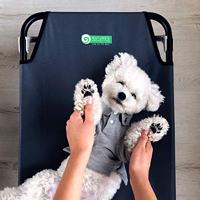 NATURE'S PROTECTION Superior Care Hypoallergenic Salmon - droog hondenvoer - 10kg - thumbnail