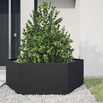 VidaXL Plantenbak zeshoek 138x120x45 cm staal zwart