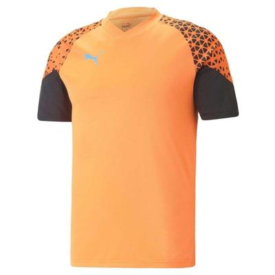 Heren Voetbal T-shirt met Korte Mouwen Puma Individual Cup Training Ultra Oranje Maat L