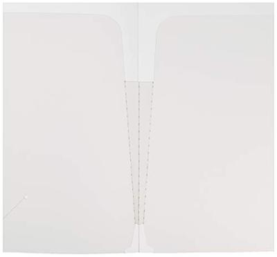 Hoezen Esselte Transparant A4 Polypropyleen (5 Stuks) - thumbnail